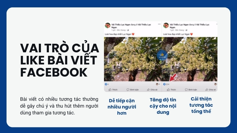 MinoLikevn's tweet image. Buff like Facebook – vì sao nhiều bài viết tăng tương tác nhanh
Có những bài vừa đăng đã có lượng like đáng kể.
Đó không hẳn là ngẫu nhiên.
Một cách tiếp cận đang được dùng khá nhiều:
👉 baolangson.vn/buff-like-fb-t…
#bufflike #facebook