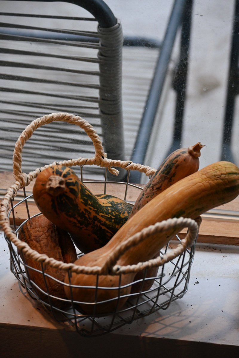 Mauritius For All tweet media