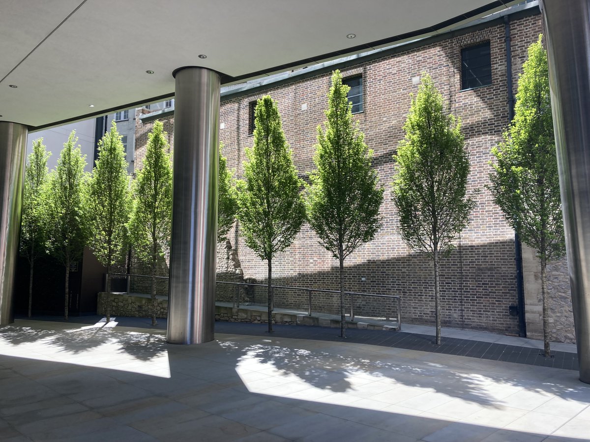 UrbanTreeFestival tweet media