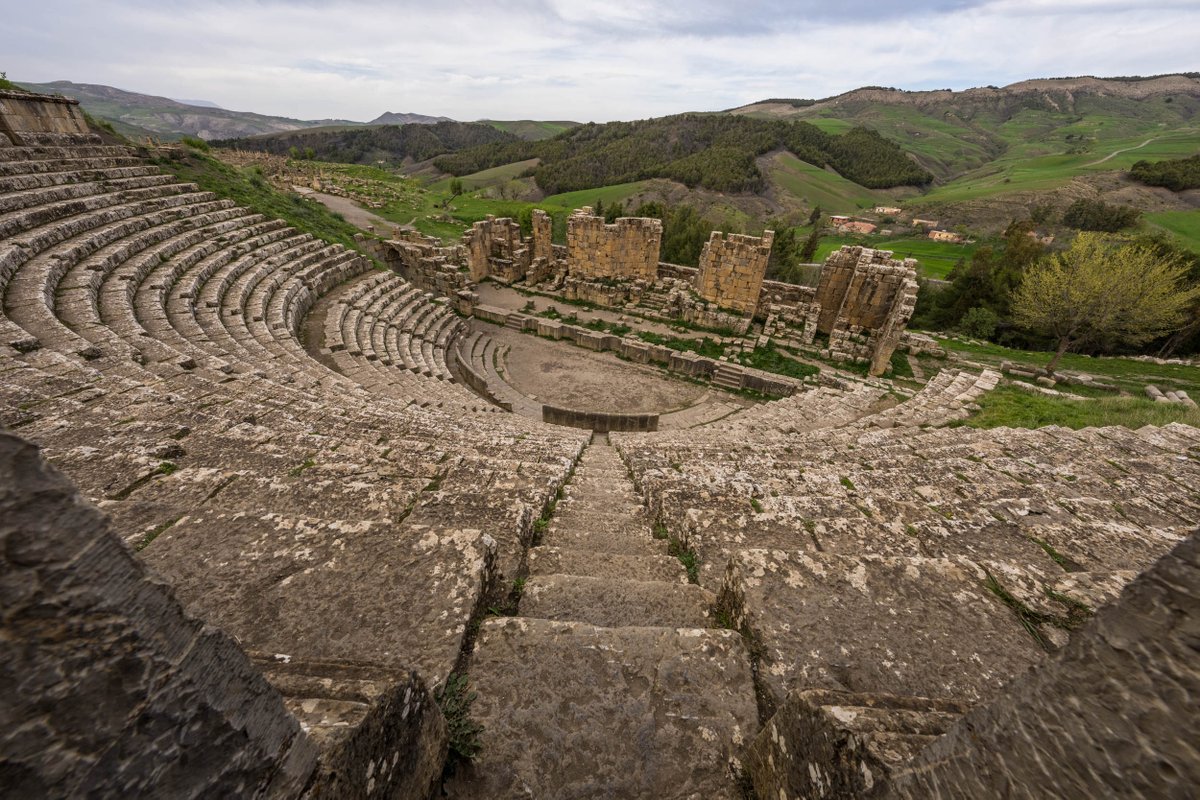 Untamed Borders tweet media