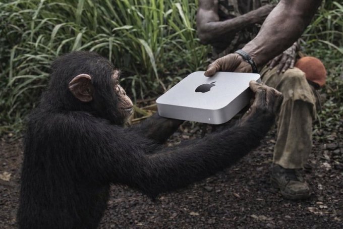 DesiCodes tweet media