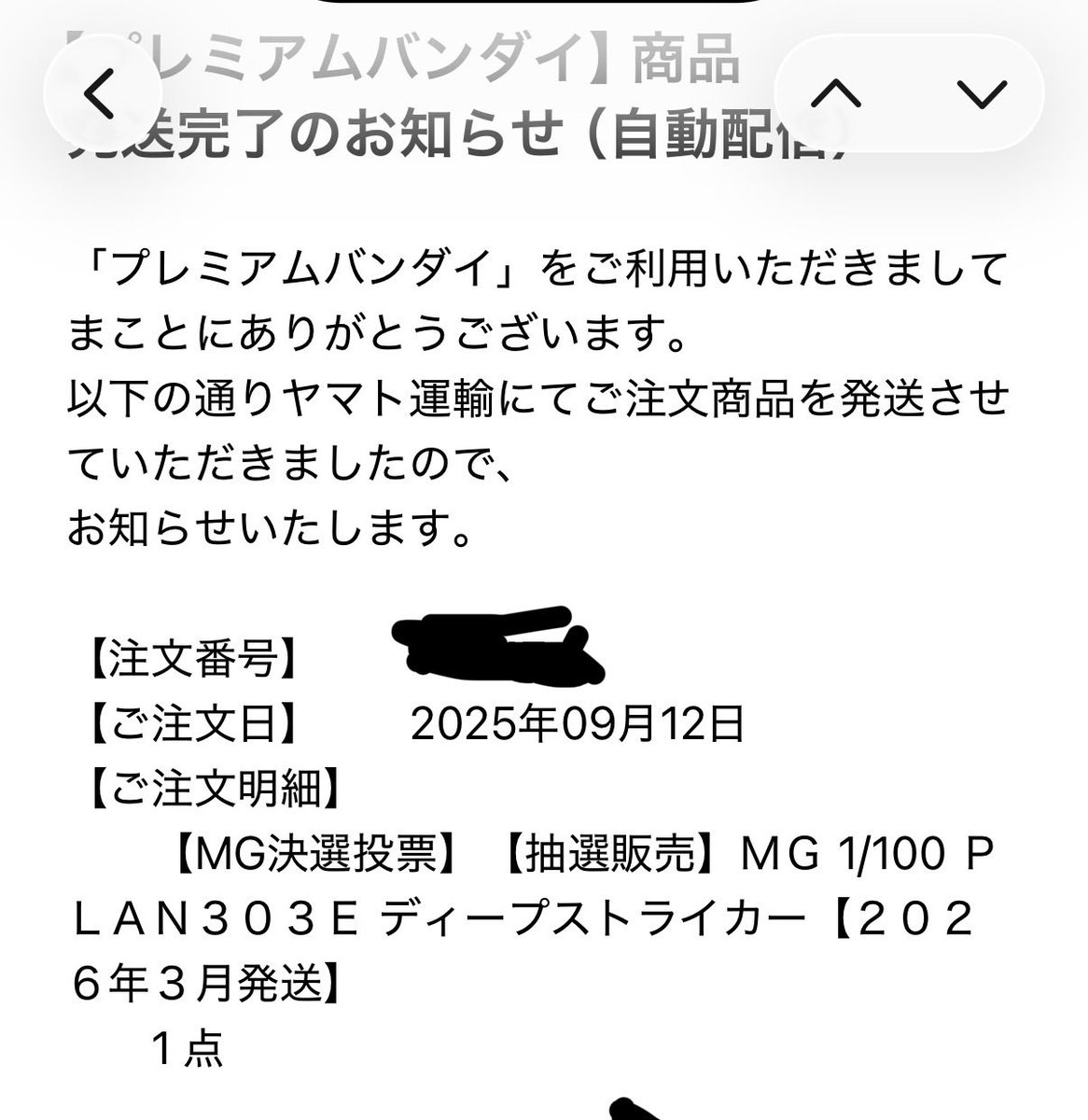 KOSA@広島 tweet media