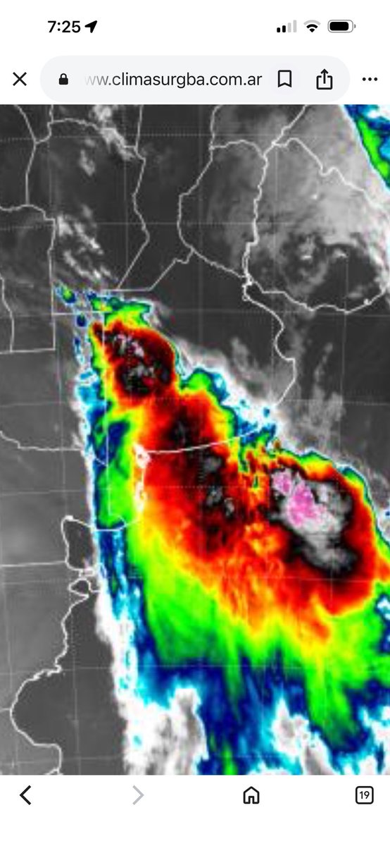 Majo 🍄 tweet media