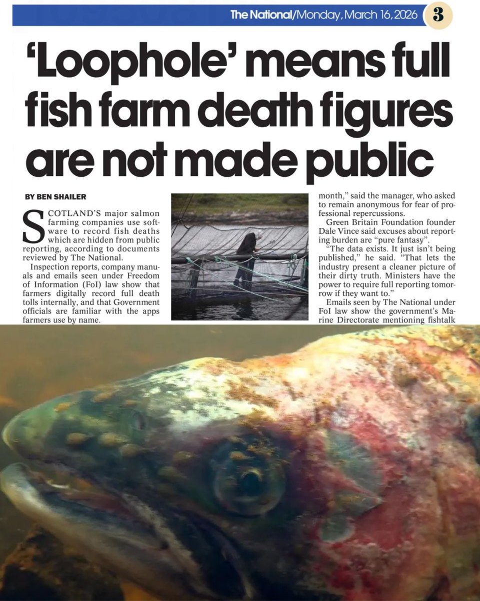 Dale Vince tweet media