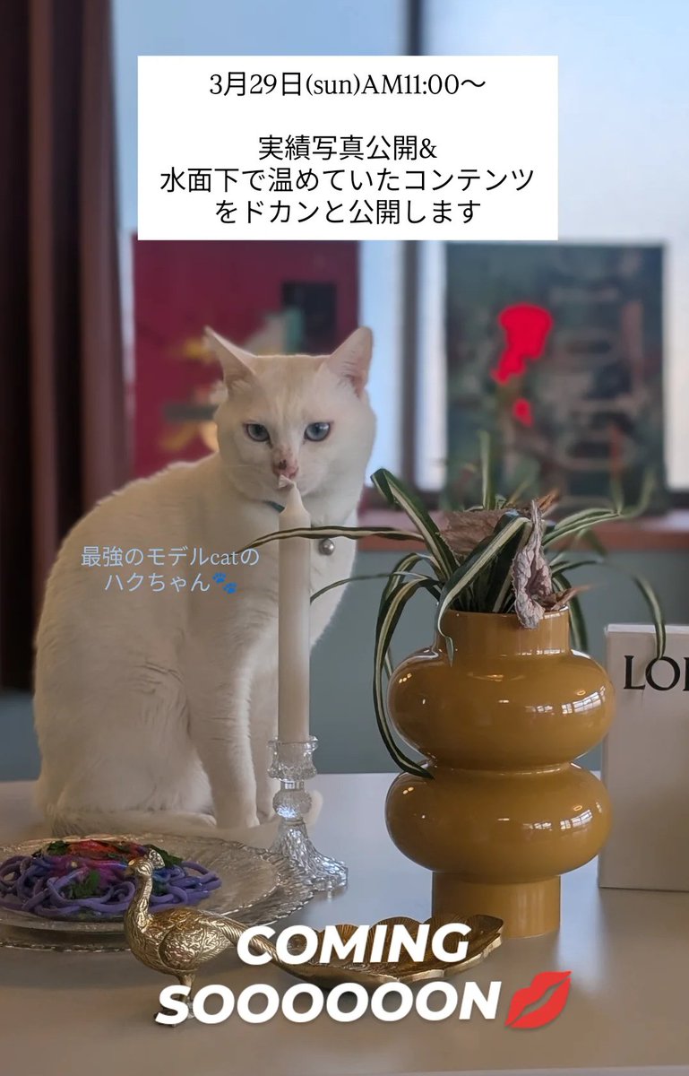 浦飯　幽子 tweet media