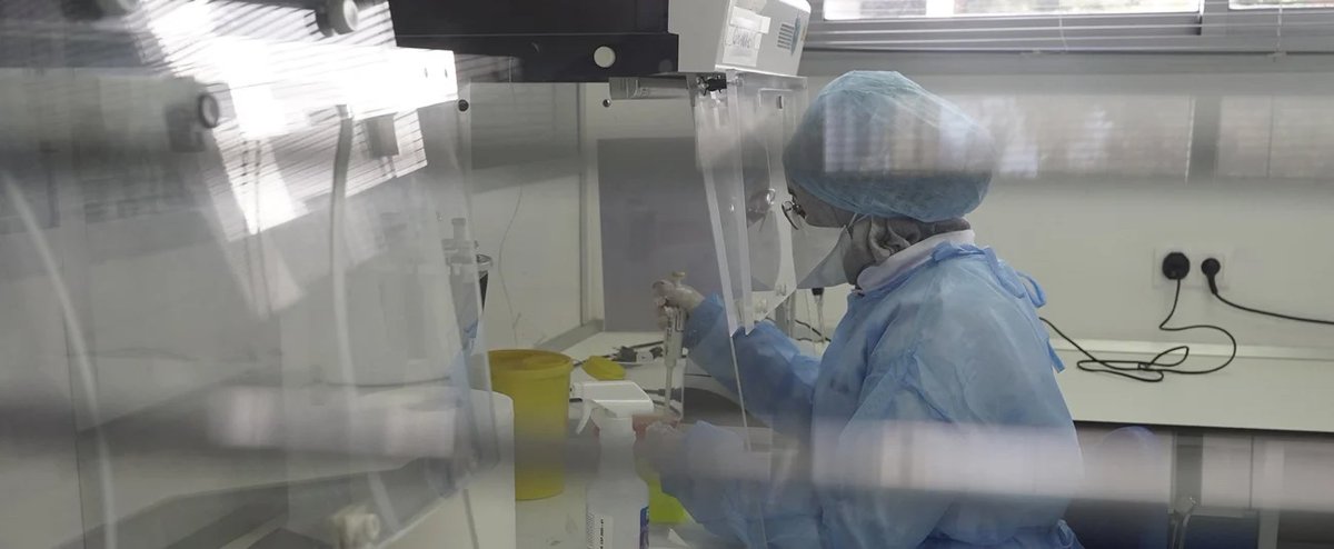 African Development Bank Group tweet media