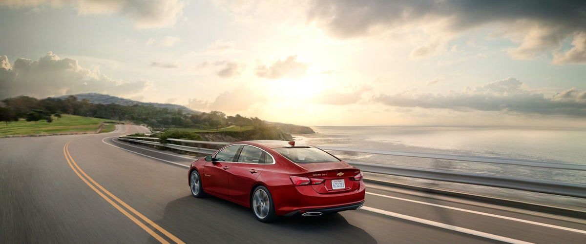 Jamie Larounis tweet media