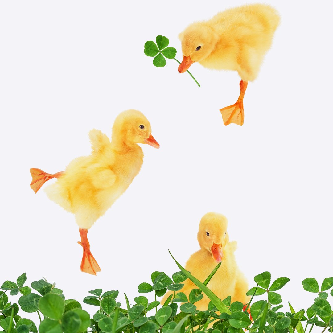 SmartCell Communications tweet media