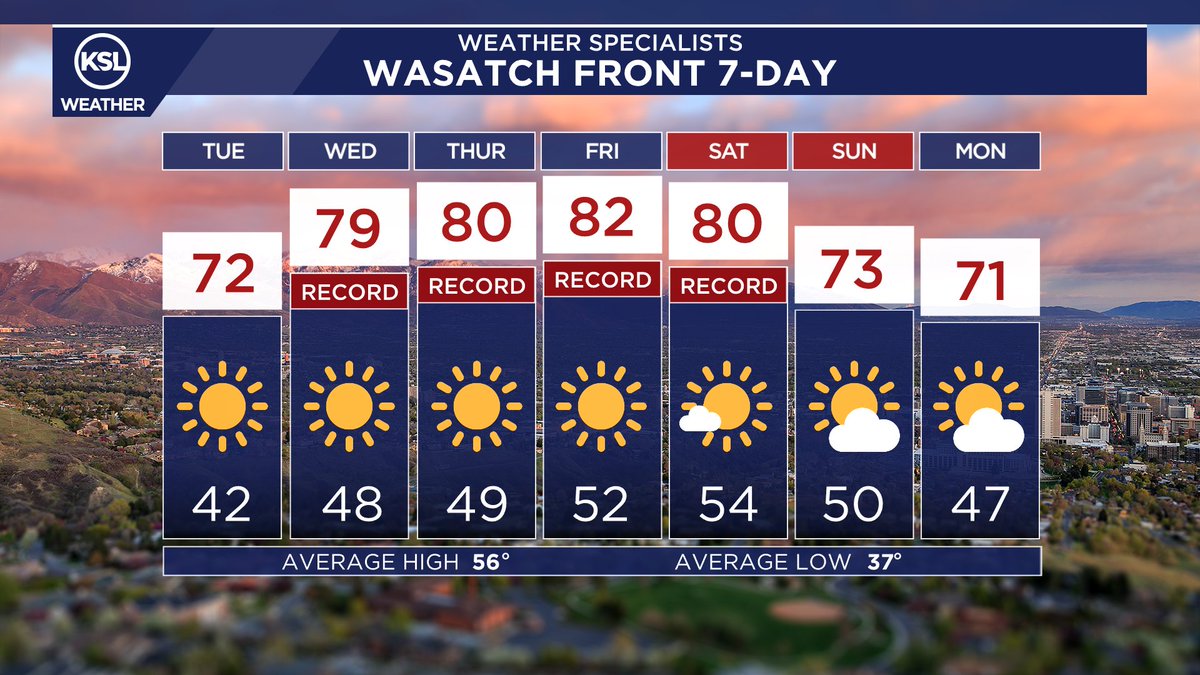 Matthew Johnson tweet media