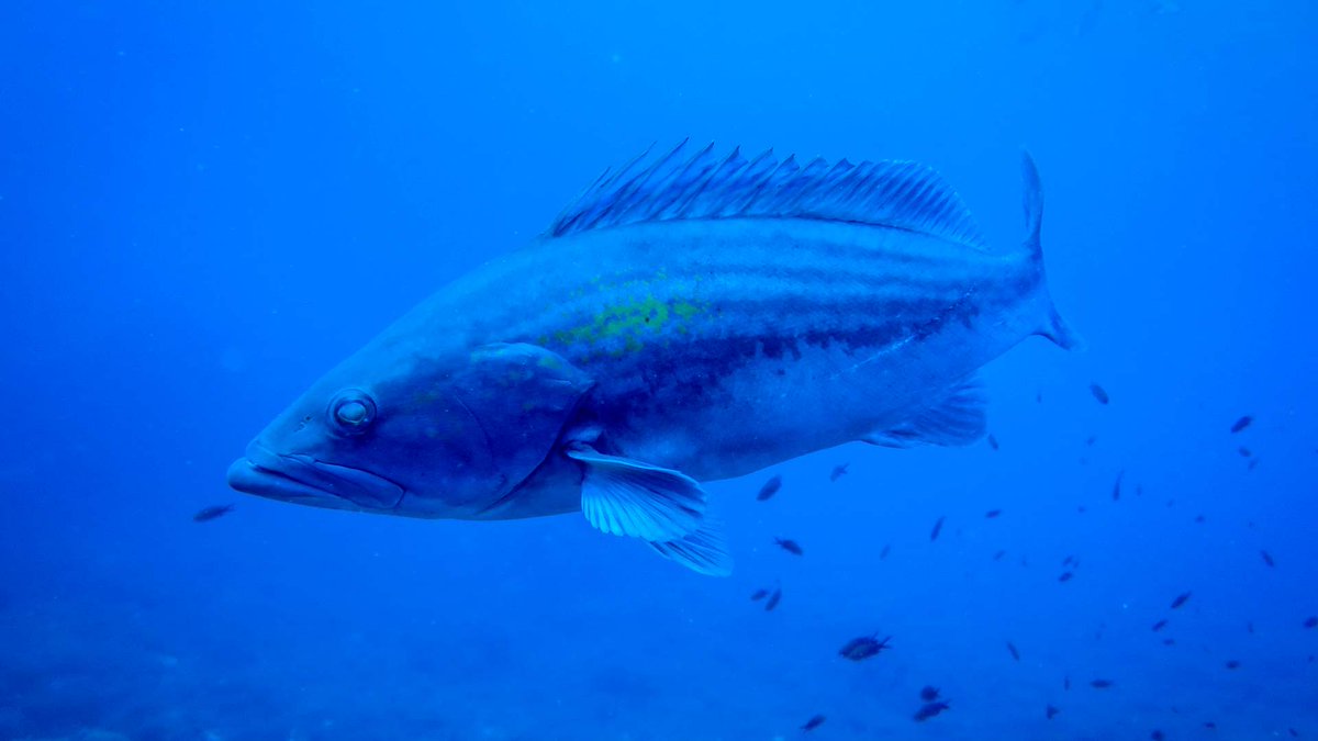 Turismo Illes Balears tweet media