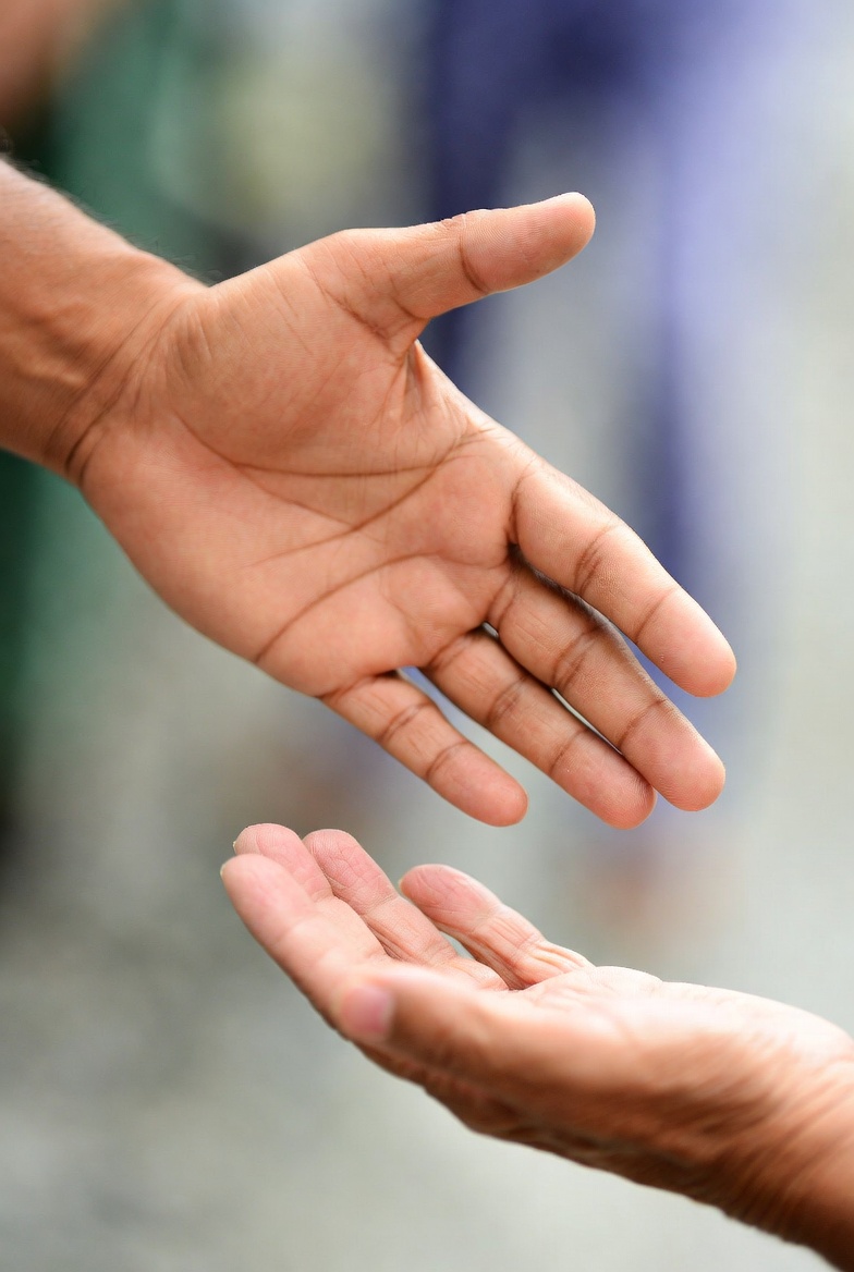 فردوس محمد عثمان tweet media