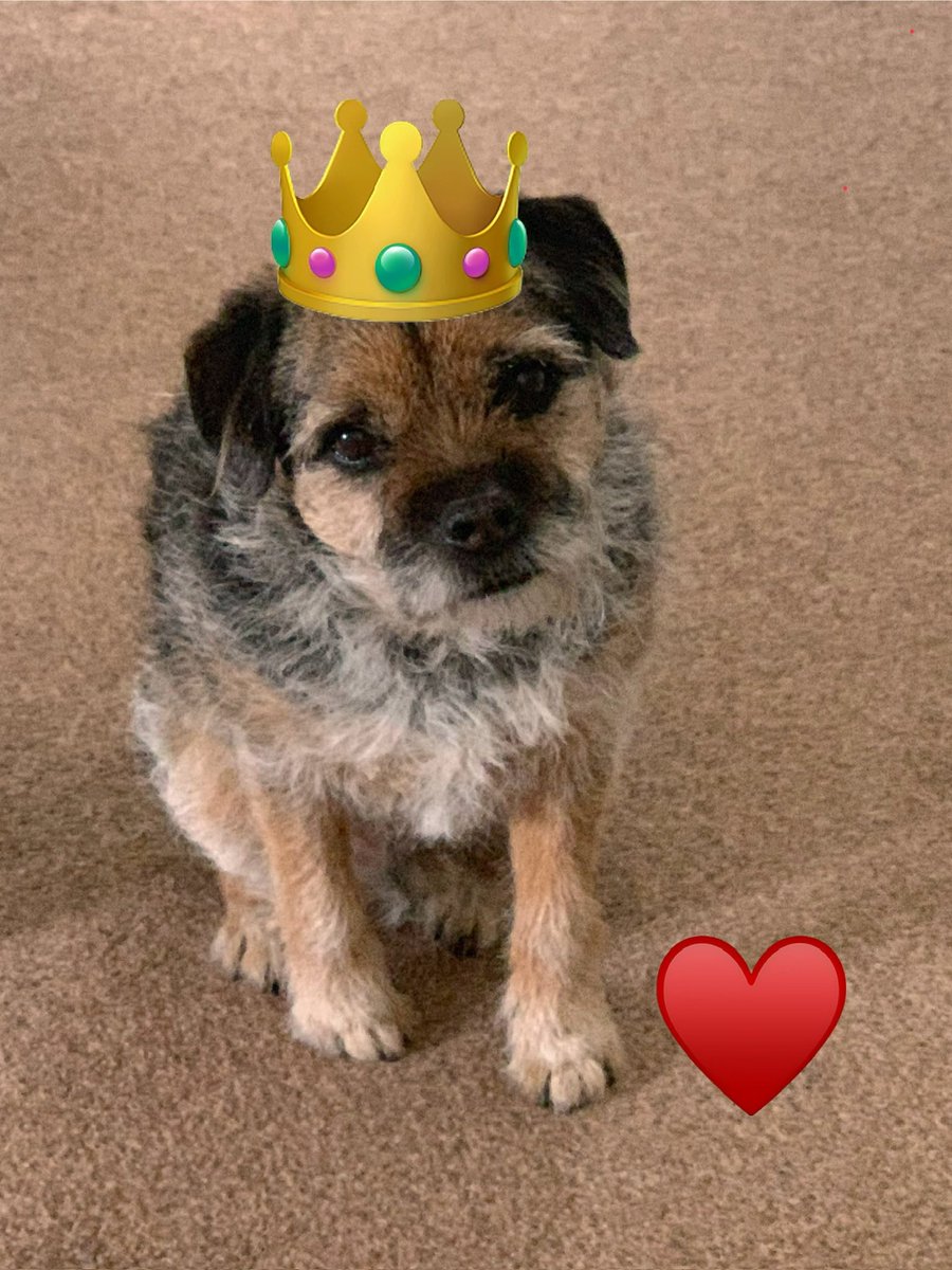 Blue McMahon tweet media