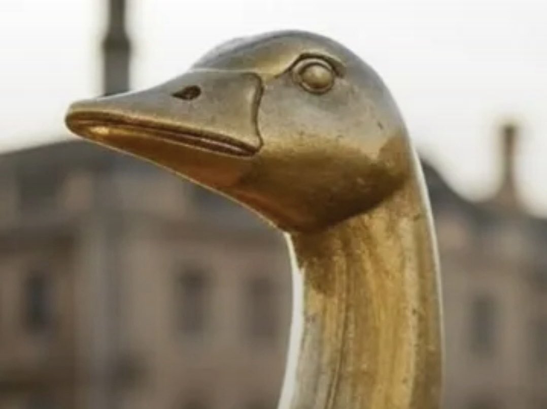 Mark Williamson tweet media