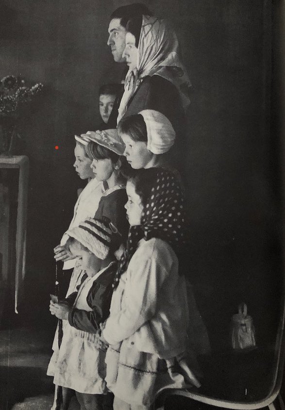 Matthew Joseph tweet media