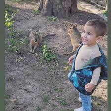 #UnRiñonParaHilario 
#HilarioEspera 
DONACION PEDIATRICA

HILARIO Y LA VIDA...LA VIDA E HILARIO: UNA CONSTANTE EN ESTE CAMINO JUNTO A ESTA FAMILIA.
ES EL ARCO IRIS MISMO! COMO NO LUCHAR JUNTO A ESTE CAMPEÓN?  ayudas alias TODOSPORHILARIO33