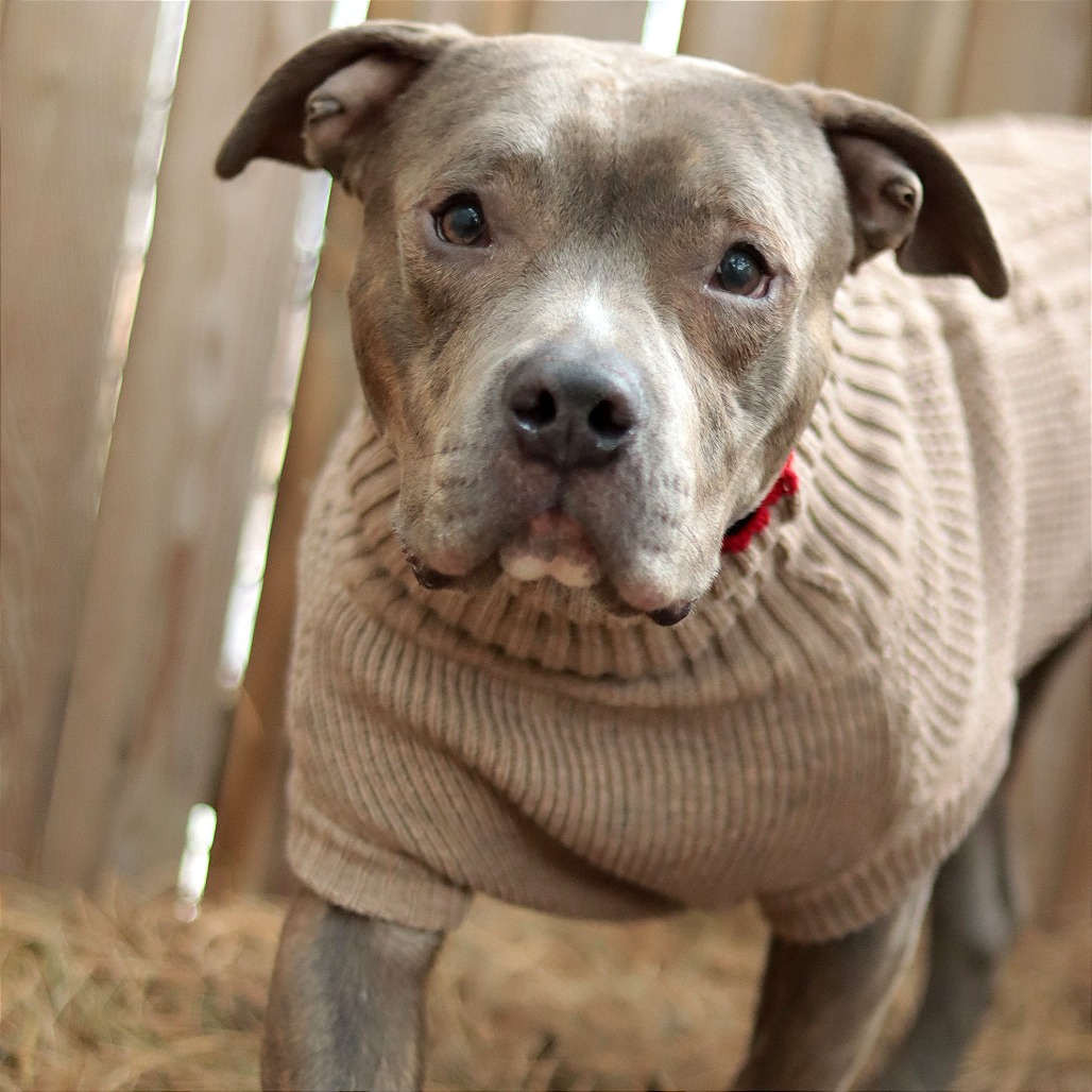 Flyers Charities & Community tweet media