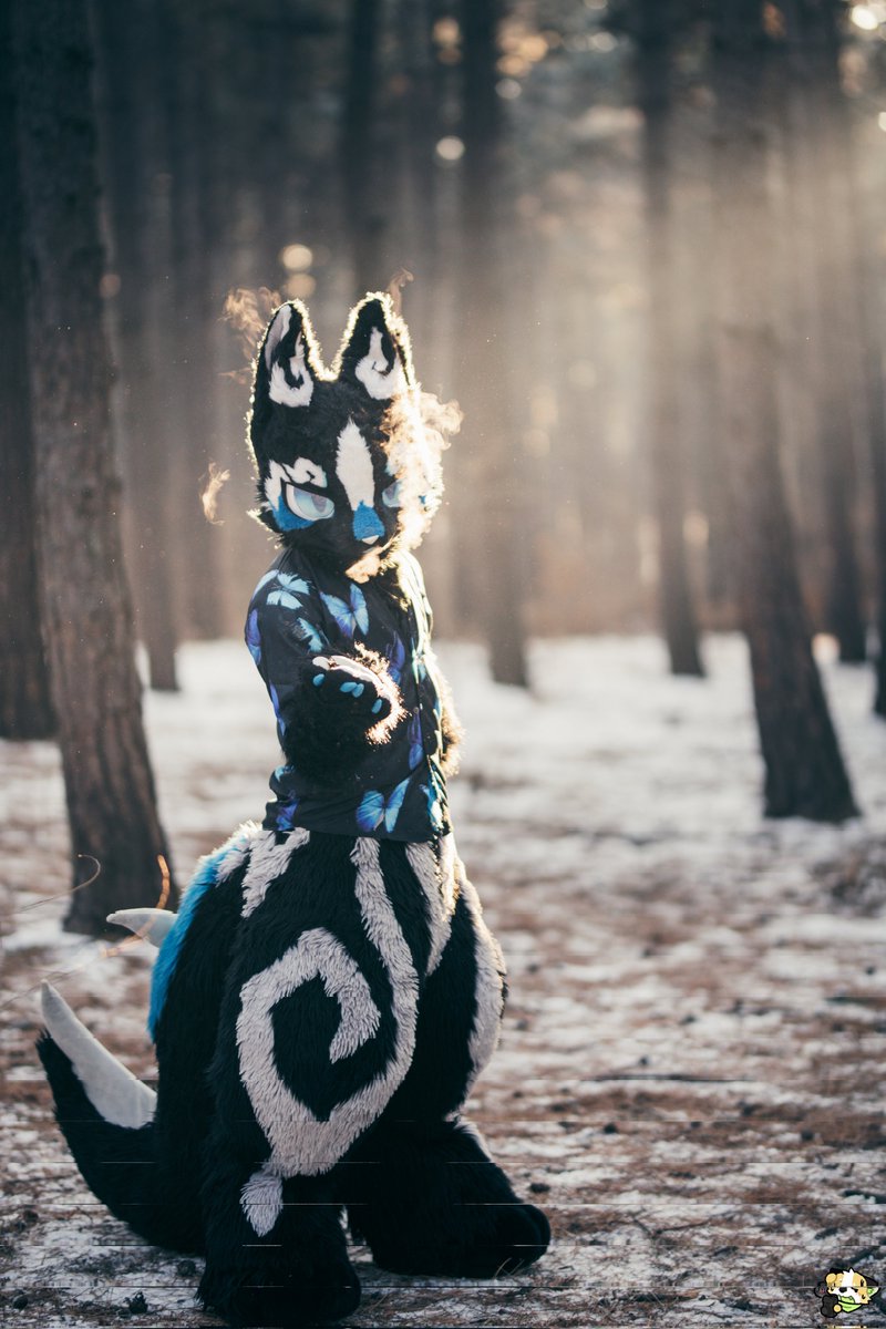 星效-Vulptex tweet media