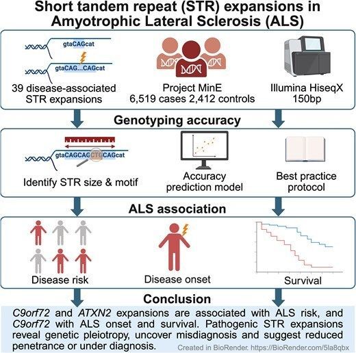 @BrainComms tweet media