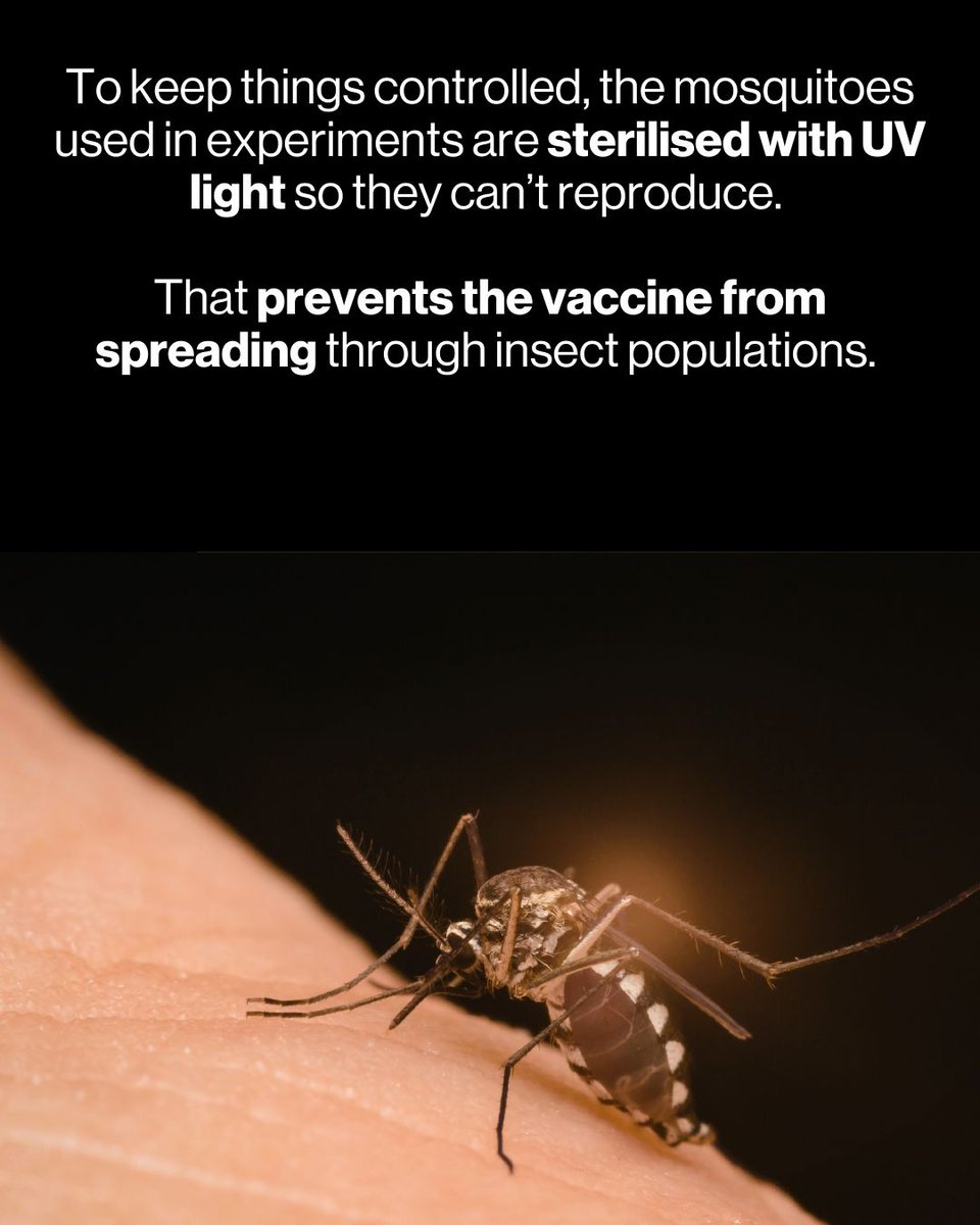 Gavi, the Vaccine Alliance tweet media