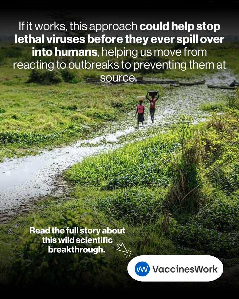 Gavi, the Vaccine Alliance tweet media