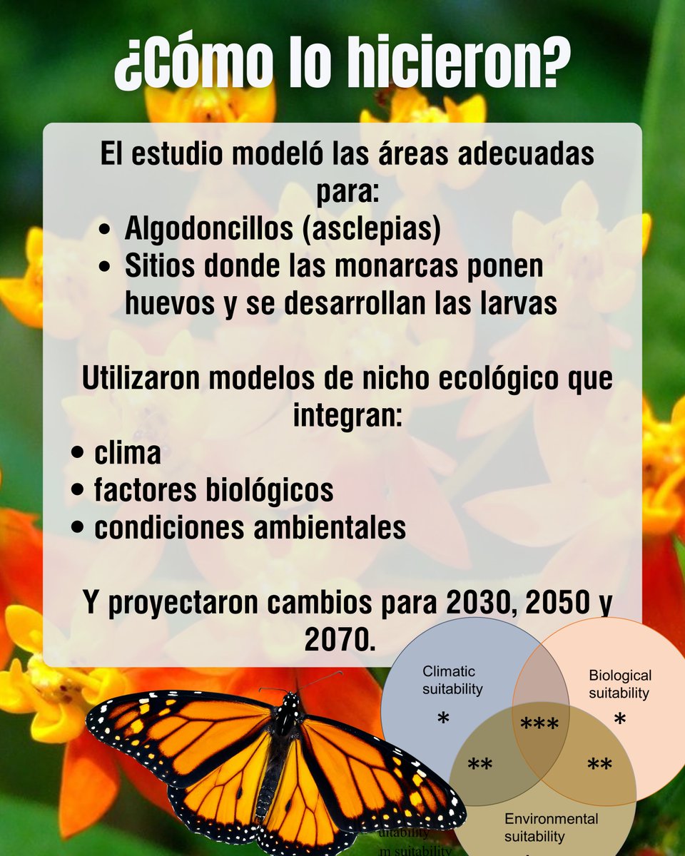 LNCBioCC tweet media