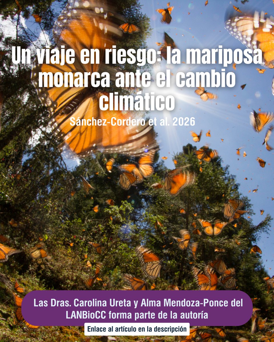 LNCBioCC tweet media