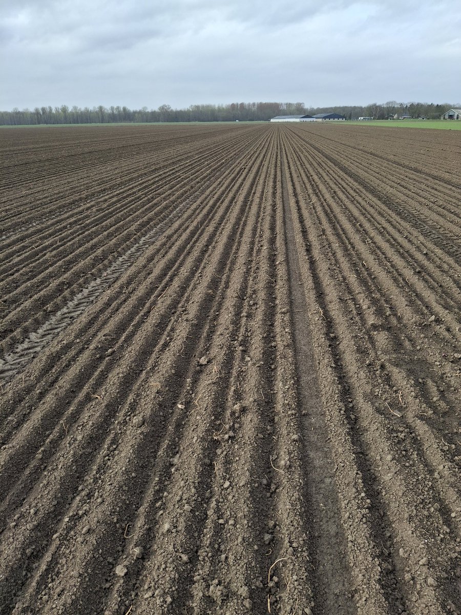 Joost Rijk tweet media