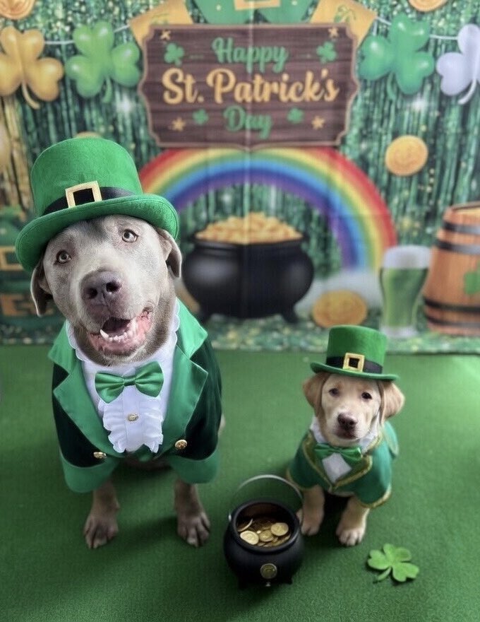 Jackson & Abbey tweet media