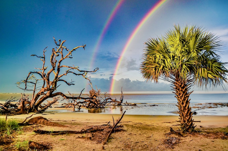 Golden Isles Mag tweet media