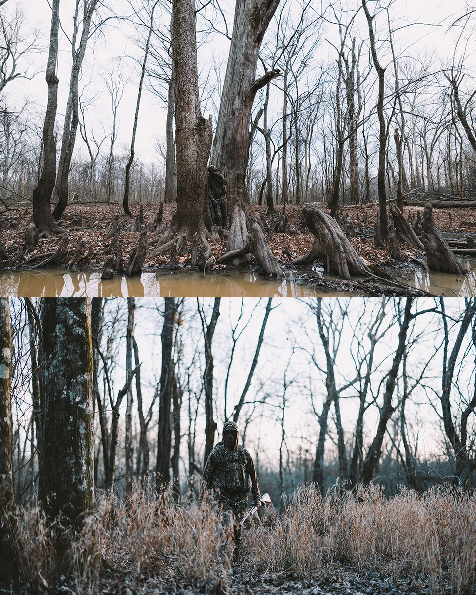 First Lite tweet media