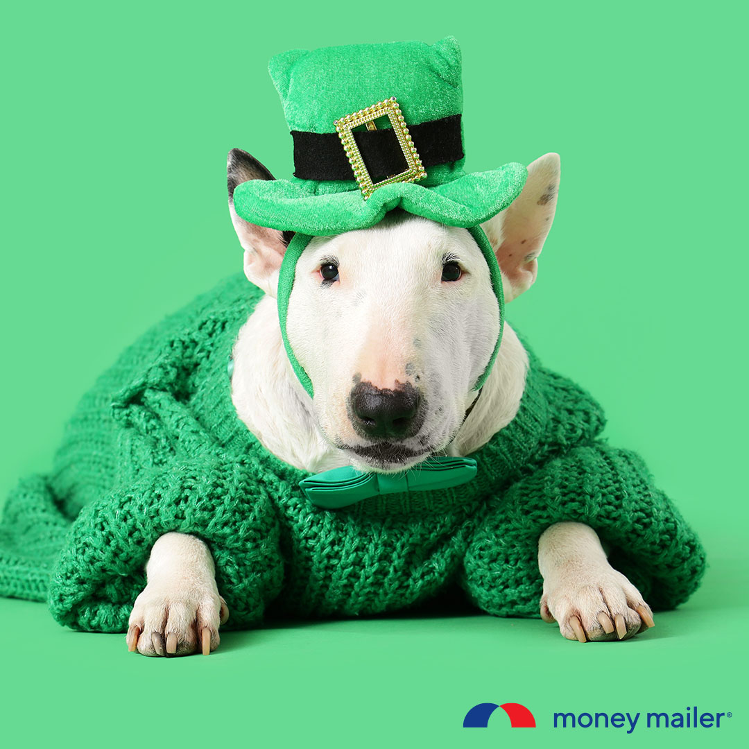 Money Mailer tweet media