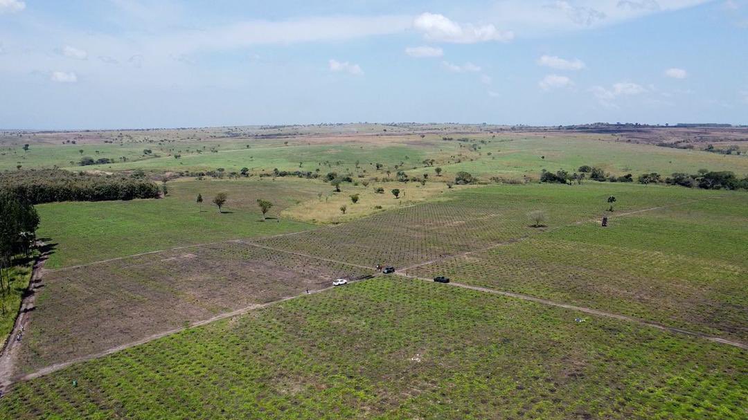 Operation Wealth Creation tweet media