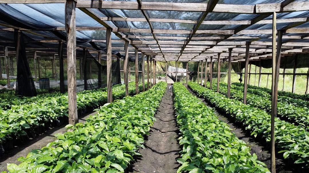 Operation Wealth Creation tweet media