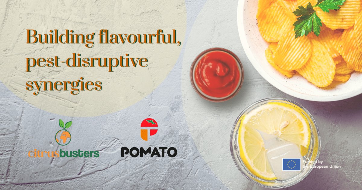 Citrusbusters tweet media