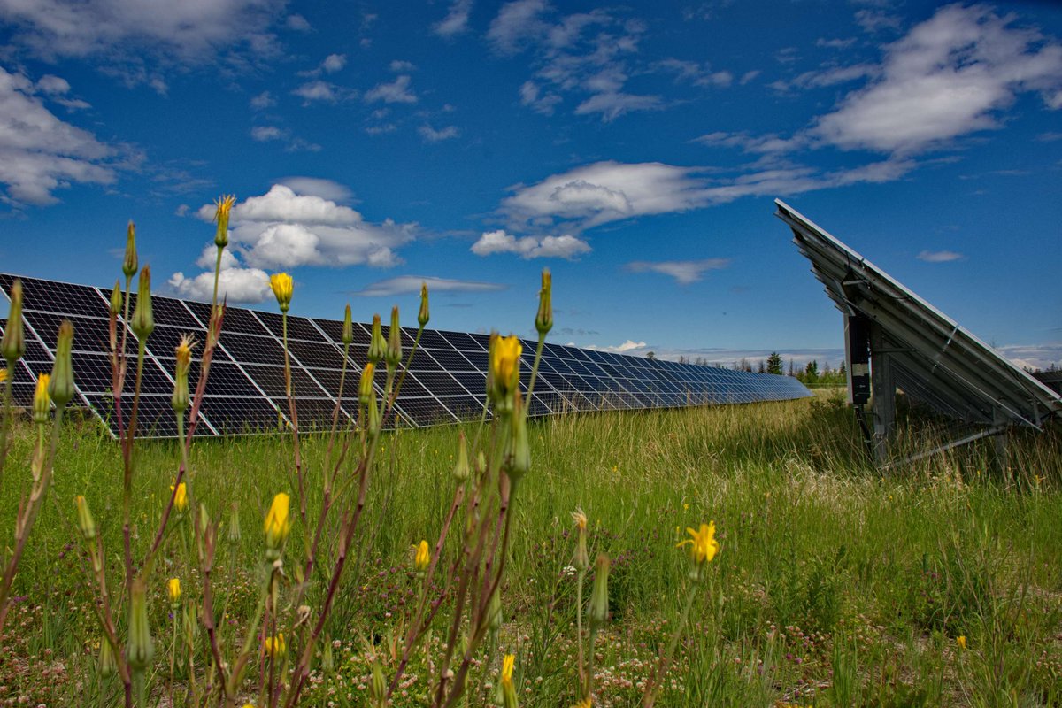 Pacific Economic Development Canada tweet media