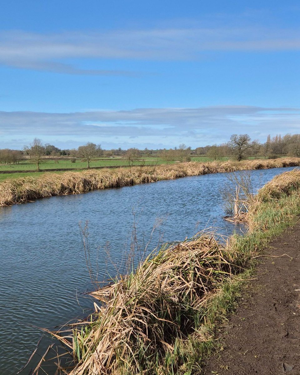 Visit Leicester tweet media