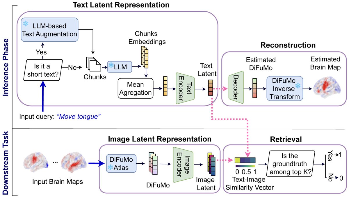 Imaging Neuroscience tweet media