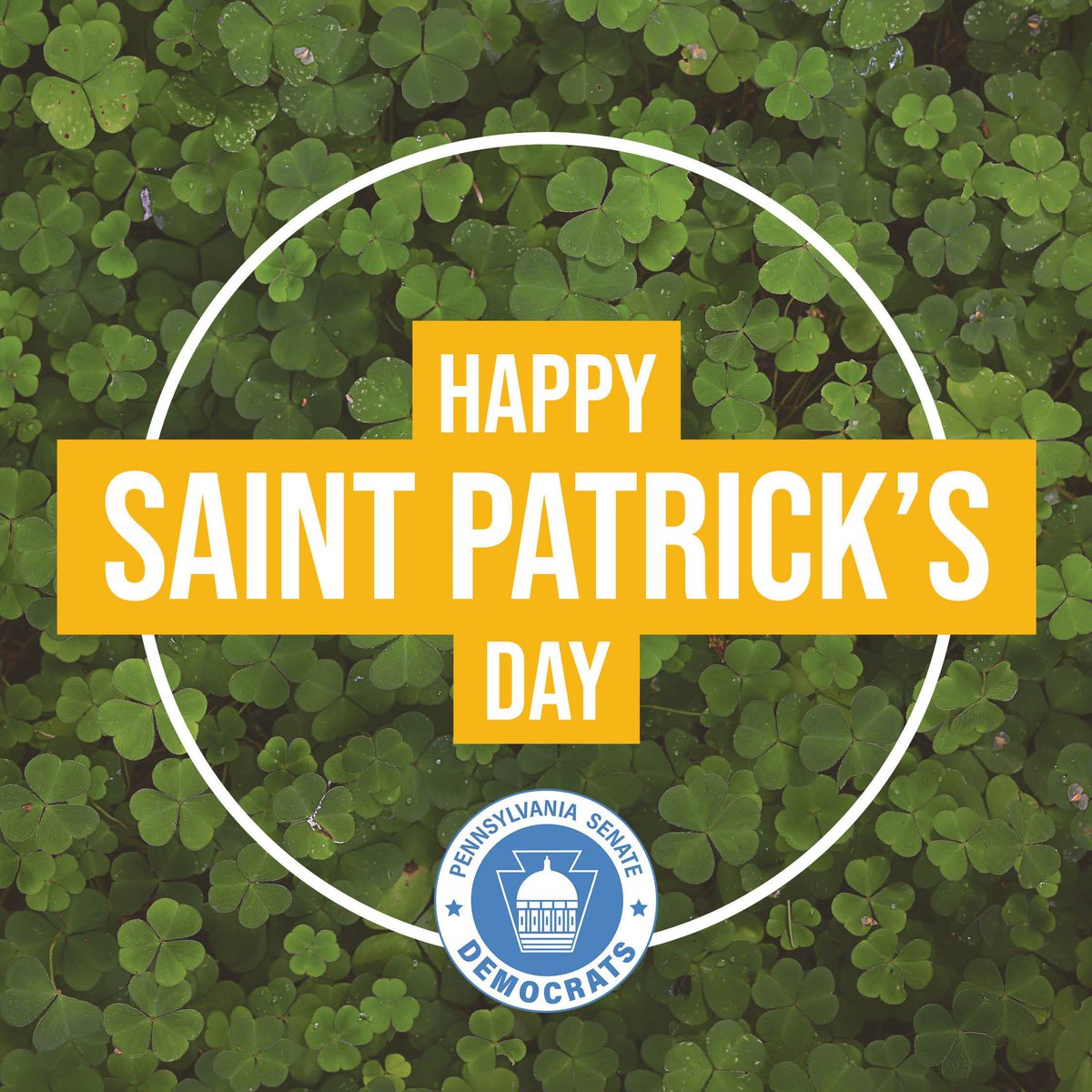 Senator Tim Kearney tweet media