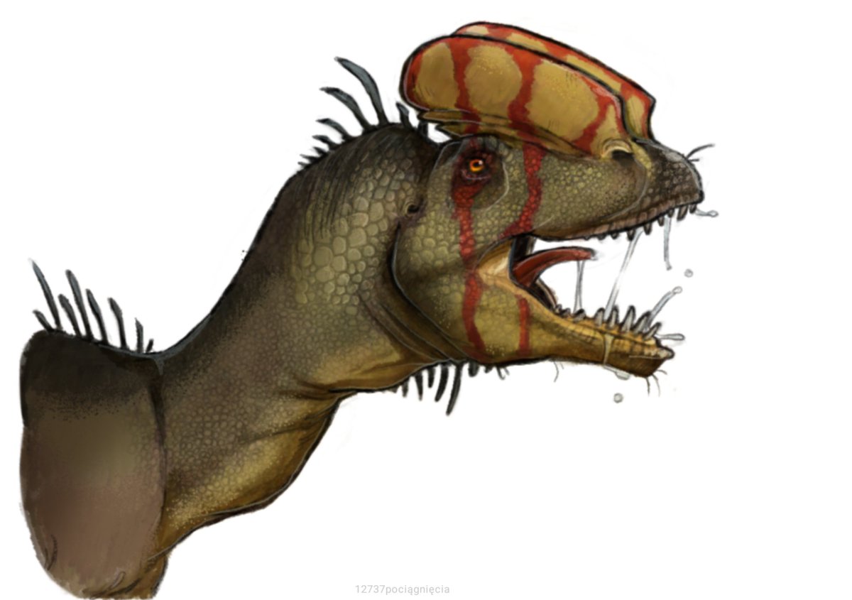 will.s 🧻🪈 tweet media