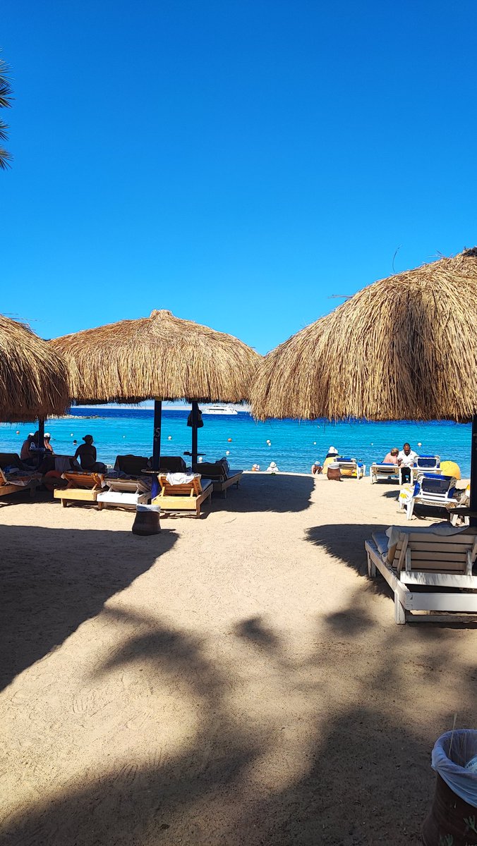 travelwizja's tweet image. Regina RESORT Hurghada.
@Extranewstv @ar_experienceeg @PortalWakacjePL @EgyptianStreets @TourismandAntiq @travelwizja 
#hurghada #reginaresort #wakacje