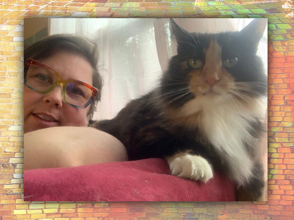 Cat Writers' Assoc. tweet media