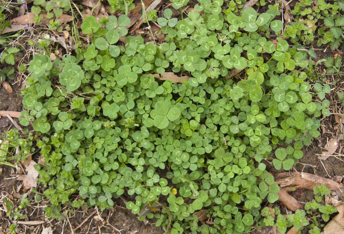 💧DripDropz tweet media