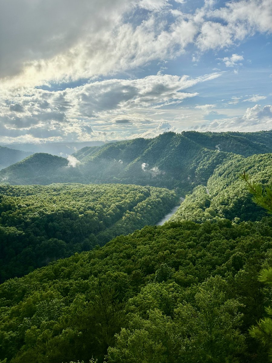 The Appalachian Podcast tweet media