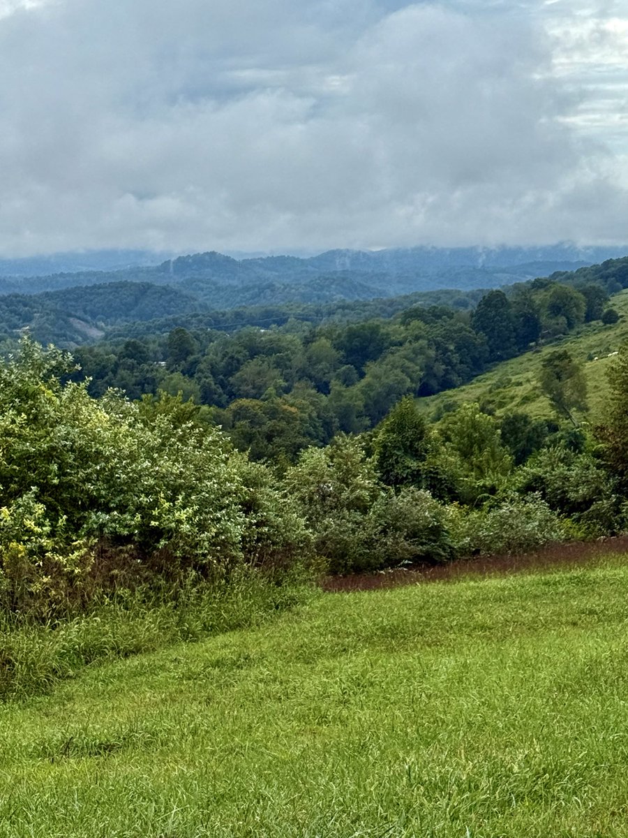 The Appalachian Podcast tweet media