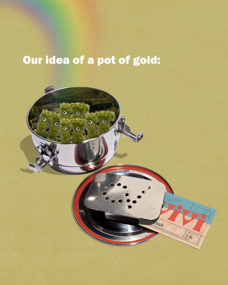 vivipacks_'s tweet photo. 🍀 Protect flavor, aroma, and potency with trusted 2-way humidity control that works like a charm.

#Vivi #ViviFresh #HumidityControl #PotOfGold #StPatricksDay https://t.co/XsUcnLgYDb