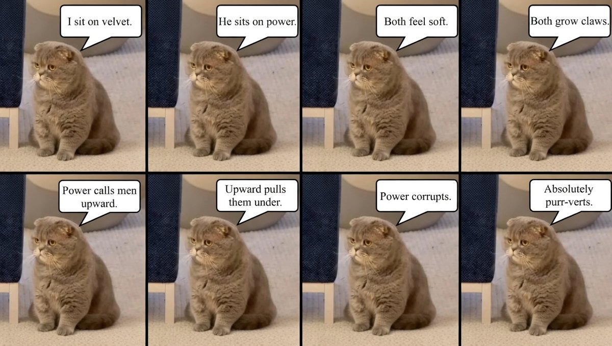 Maximus Textoris Pulcher tweet media