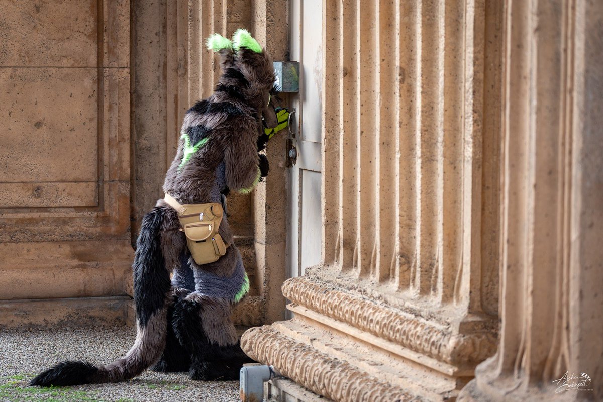 🧀🧀🧀🧀🧀🧀🧀🧀🧀🧀 tweet media