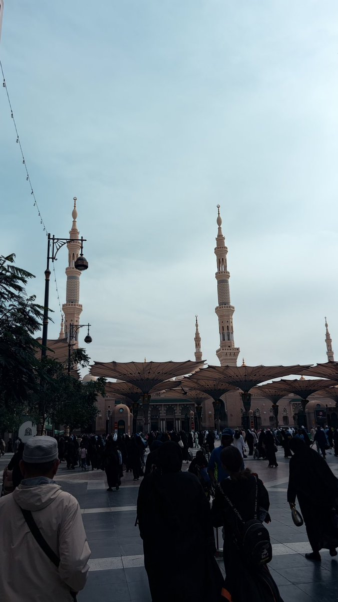 بشاير رفاعي tweet media