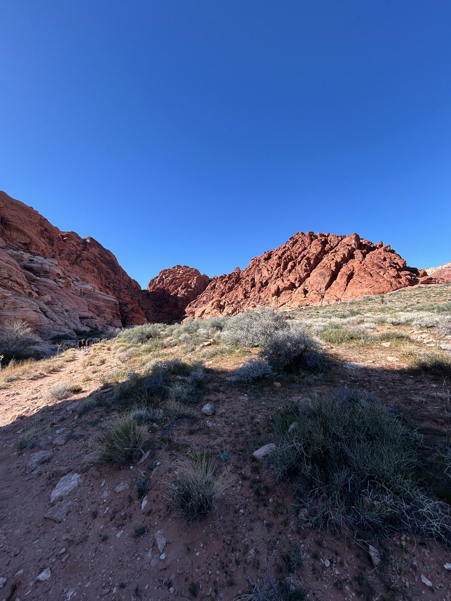 GrantChan2028's tweet image. Views from Red Rock National Park, Las Vegas ⛰️🪨
#redrock
#vegas #nature #outdoorsphotography