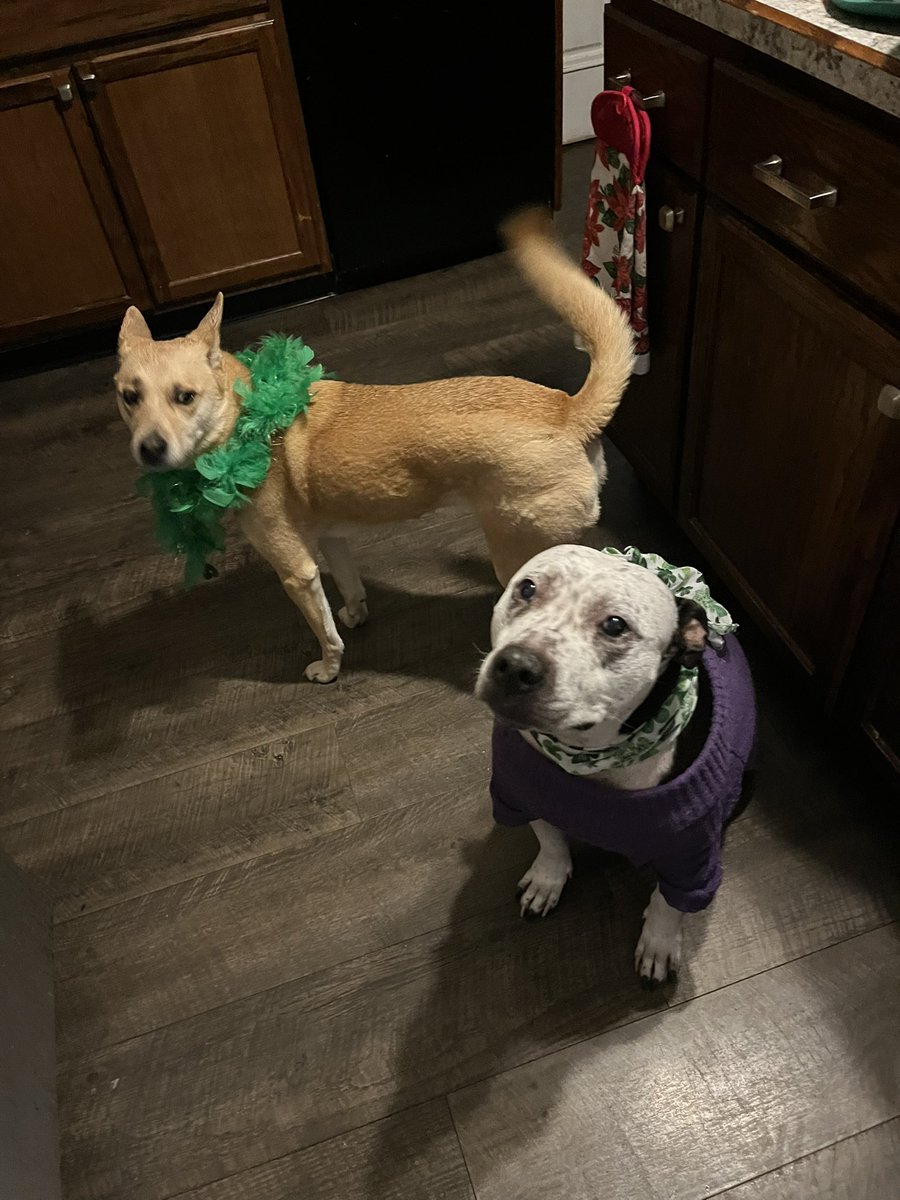 Audrey Renée Bentley tweet media